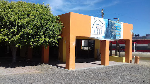 Laguna Whale Watching Tours