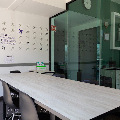 inglés individual Puebla Reforma