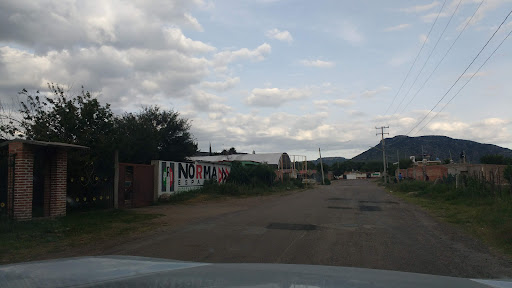 Ojo de Agua de Crucitas