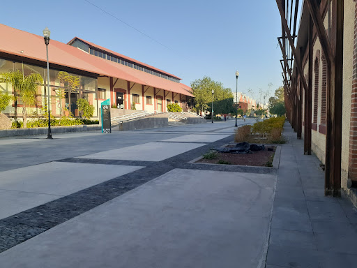 Centro de Idiomas UTR (Universidad Tecnológica El Retoño)