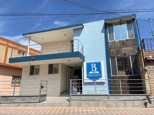 Instituto Bilingüe