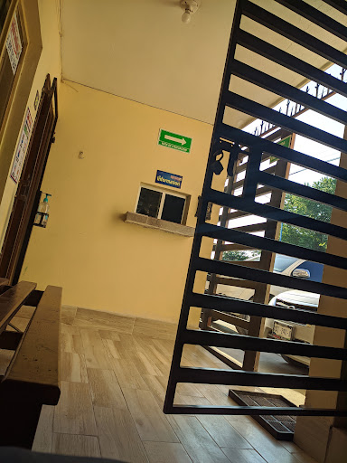 English Institute Río Bravo