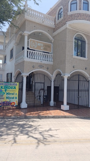 Instituto Cultural Altamira