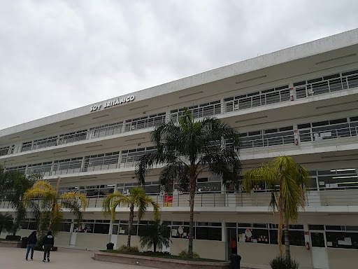 Instituto Britanico de Torreon Primaria