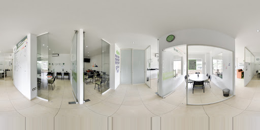 inglés individual Colima