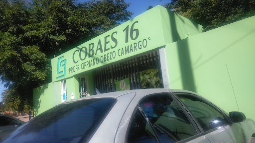 cobaes 16