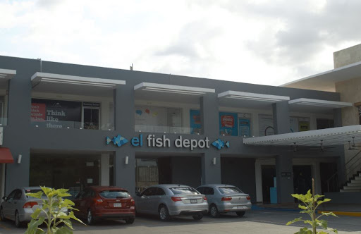 Learn, Idiomas + Consultoría