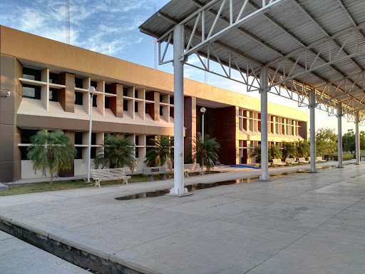 Instituto Tecnológico Superior de Guasave