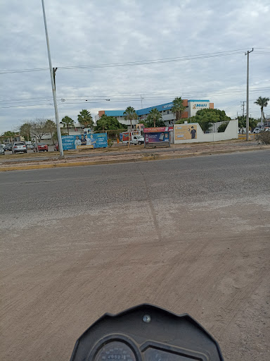 IIU Instituto de Idiomas UNIVAFU Universidad