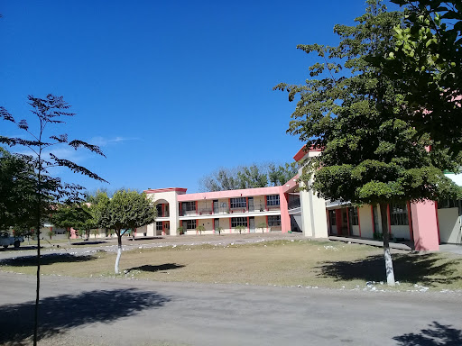 Universidad Autónoma Indígena de México