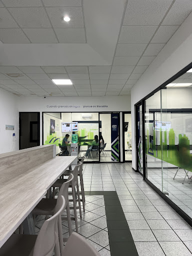 Vocablo Idiomas Premium Culiacán