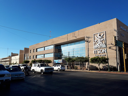 Instituto Tecnológico de Sonora