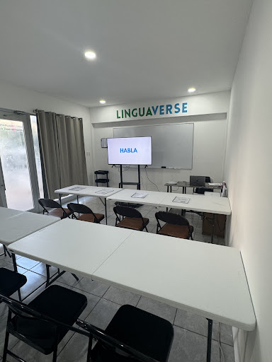 Instituto Linguaverse Malecón