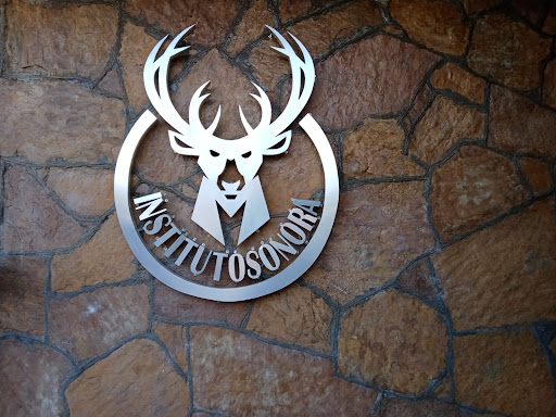 Instituto Sonora