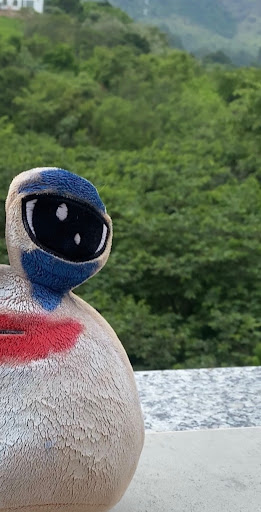 Instituto Minerva A.C.