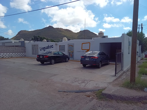 Linguatec (Guaymas)