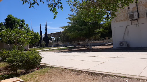 Centro de Bachillerato Tecnologico Industrial y de Servicios No. 63