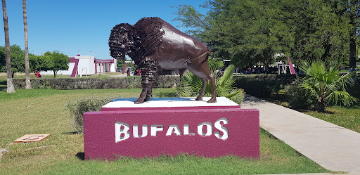 Instituto Tecnológico del Valle del Yaqui