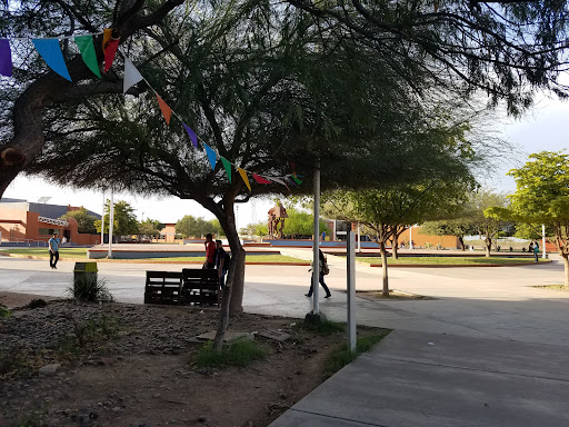 Instituto Tecnológico Superior de Cajeme