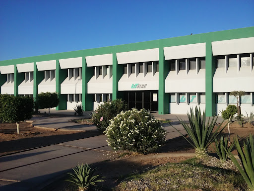 Universidad Tecnológica de San Luis Río Colorado