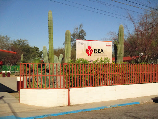 Instituto Sonorense de Educación para los Adultos (ISEA)