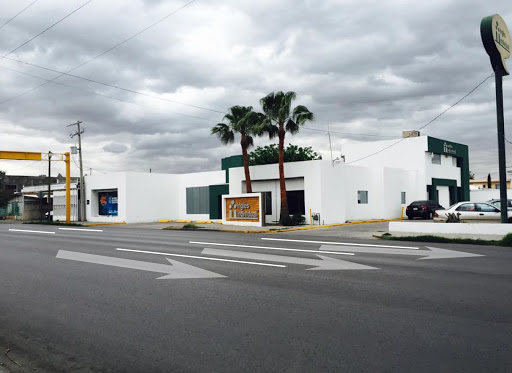 inglés individual Juárez Plutarco