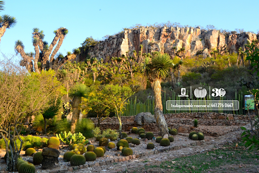 Jardín Botánico Regional de Cadereyta