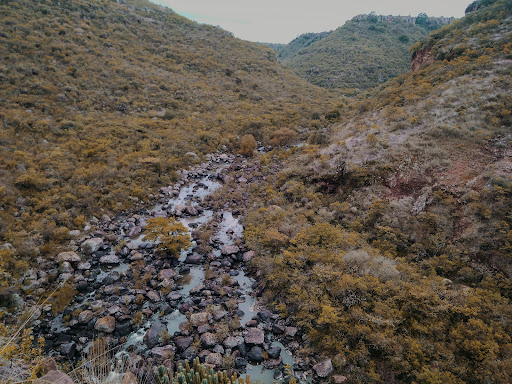 Dolores Cuadrilla de Enmedio