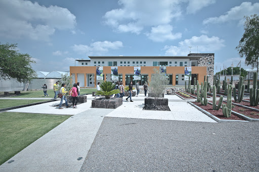 Centro Universitario CEICKOR