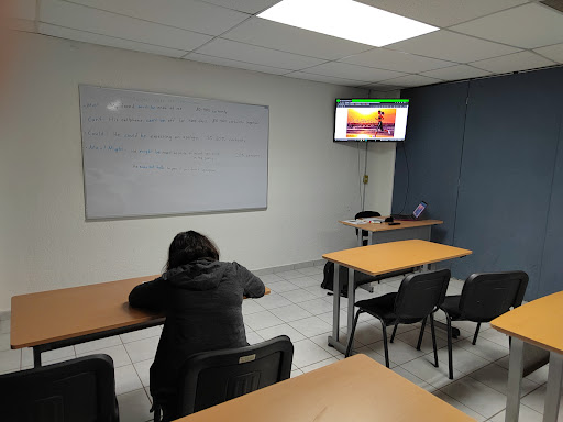 Bridge Language School