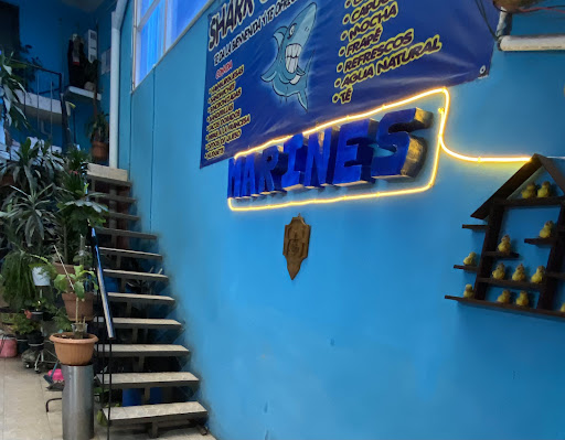 Instituto de Inglés | Marines