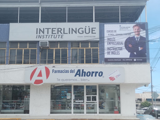 Interlingüe Institute